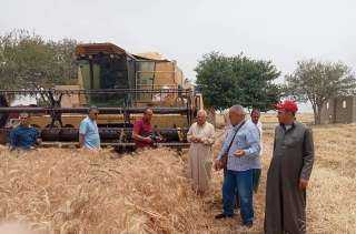محافظ الشرقية يُتابع أعمال حصاد القمح بأحد الحقول الزراعية بمدينة الصالحية الجديدة
