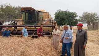 محافظ الشرقية يطالب بتذليل العقبات أمام المزارعين لتسهيل عمليه توريد القمح للشون