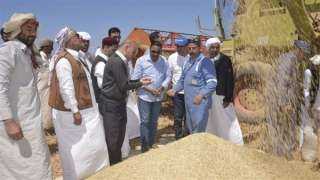 محافظ مطروح يشهد احتفالية موسم حصاد الشعير بمدينة النجيلة
