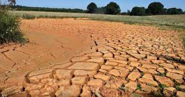 الجفاف يهدد محصول الحبوب بفرنسا