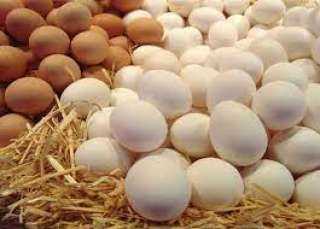 ارتفاع أسعار البيض وتراجع اللحوم خلال تعاملات اليوم الأربعاء