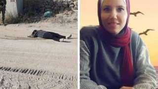 مرصد الأزهر يدين اغتيال الصحفية الفلسطينية غفران هارون: رسالة لتكميم الأفواه