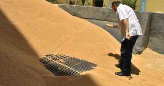 محافظ أسيوط يفاجئ العاملين بمطاحن مصر الوسطى لمتابعة انتظام توريد القمح