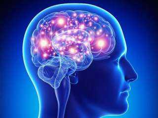 فقدان الشهية يمكن أن يؤدي إلى تغييرات جذرية في بنية الدماغ