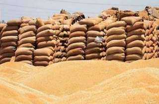 ”الإحصاء”: 15.9% تراجعا باستيراد القمح خلال 3 أشهر وتأمين واردات الفول والأرز