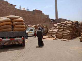 ارتفاع معدلات توريد القمح بكفر الشيخ إلي 234 ألف طن