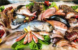 استقرار أسعار الأسماك في سوق العبور اليوم