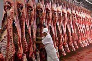 وزير التموين: 30 ألف رأس ماشية لتوفير اللحوم الطازجة بمناسبة عيد الأضحى