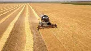 أوكرانيا تخسر 16% من المحاصيل الزراعية خلال 2022