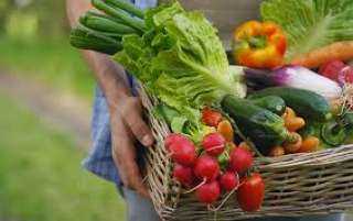 تراجع أسعار الخضروات في سوق العبور اليوم