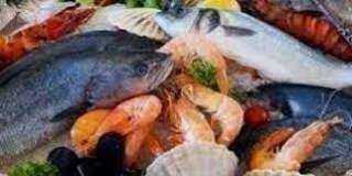نرصد أسعار الأسماك في سوق العبور اليوم