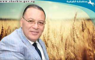 إستمرار توريد الذهب الأصفر لشون وصوامع محافظة الشرقية