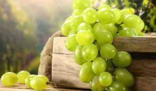 فوائد العنب الأخضر للتخسيس