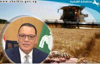 إستمرار توريد الذهب الأصفر لصوامع وشون محافظة الشرقية