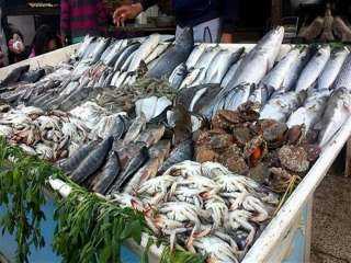 أسعار الأسماك في سوق العبور اليوم الاربعاء