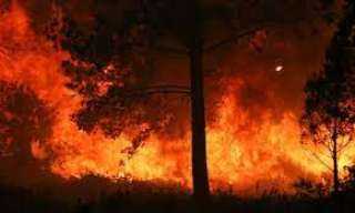 إجلاء 8000 شخص من منطقة جيروند بجنوب فرنسا بسبب الحرائق