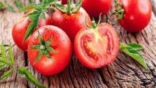 الفاو: مصر تحتل المركز الخامس عالميًا في إنتاج الطماطم لعام 2020