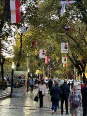 أعلام مصر تزين الشوارع الرئيسية بالعاصمة الألبانية تيرانا