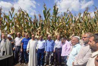 ”زراعة الشرقية” تنظم يومًا لحصاد الذرة الشامية