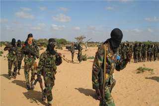 وزير الإعلام الصومالي: مقتل 30 من ميليشيات الشباب بمحافظة ”جلجدود” وسط البلاد