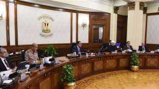 مجلس الوزراء يوافق على مد الإعفاء من مقابل الجُعل حتى 30 أبريل المقبل