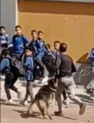 ضبط شخصان بحوزة أحدهما كلب والأخر عصا خشبية بترهيب طلبة إحدى المدارس بالإسكندرية
