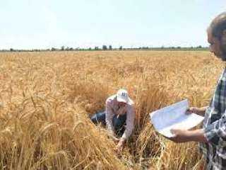 الزراعة: معدات الميكنة الحديثة بأسعار مخفضة للمزراعين استعدادًا لموسم القمح