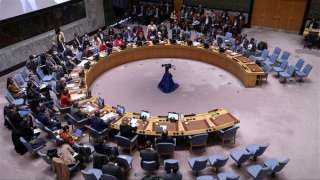 سمير فرج: مصر مُرشحة للحصول على مقعد دائم بمجلس الأمن الدولي