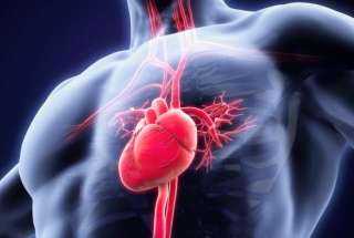 أسباب ضربات القلب السريعة من دون مجهود