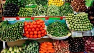 تصديري الحاصلات الزراعية يناقش الفرص المتاحة في سوقي أوغندا والسنغال.. 30 نوفمبر