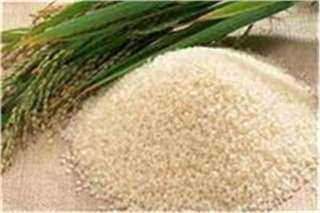 وزارة التموين تتحفظ على 100 طن أرز شعير بالبحيرة