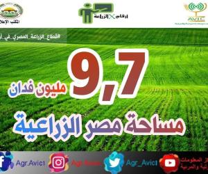 إنفوجراف.. 9.7 مليون فدان إجمالي مساحة مصر الزراعية