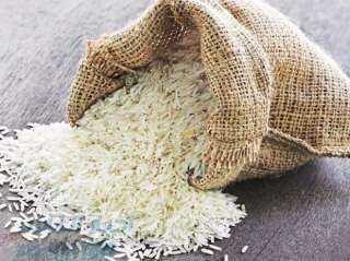 وزارة التموين: استلام الأرز المحلي يتجاوز 35 ألف طن بكفر الشيخ