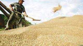 صادرات القمح الروسي تبلغ مستويات قياسية في ديسمبر 2022