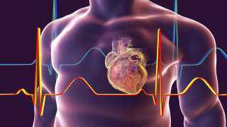 الحياة بعد النوبة القلبية.. 5 نصائح لحياة صحية