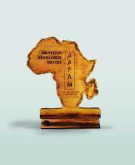 مصر تفوز بجائزة الابتكار في مؤتمر الرابطة الأفريقية للإدارة العامة