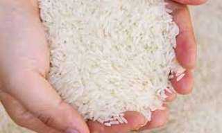 الحكومة: 12 جنيها سعر كيلو الأرز السائب.. ومصادرة سلع المنافذ المخالفة