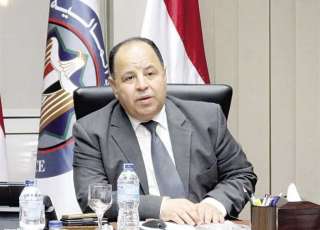 وزير المالية: التحديات الاقتصادية العالمية لم ولن تعرقل مسيرة دعم الصادرات فى مصر