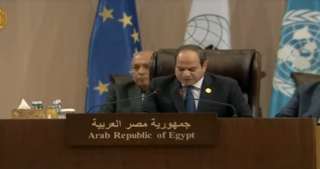 الرئيس السيسي: مصر تجدد رفضها لأى تدخل فى شئون العراق