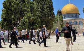 الاحتلال يعتقل عددا من الفلسطينيين.. ومستوطنون يقتحمون الأقصى