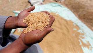 صناعة الحبوب: إنتاج 275 مليون رغيف مدعم يوميا ومخزون القمح يتجاوز الـ5 أشهر