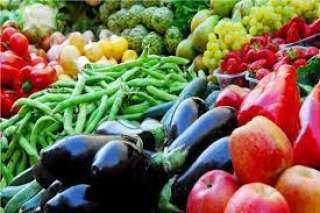 شعبة الخضروات والفاكهة: أسعار المنتجات الزراعية أقل من السنة اللي فاتت.. فيديو