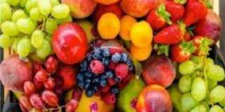 نستعرض أسعار الفاكهة في سوق العبور اليوم