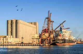ميناء دمياط تستقبل 40600 طن من القمح الروسي