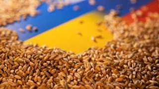 أنقرة: روسيا وأوكرانيا تنظران بإيجابية لتمديد اتفاق الحبوب