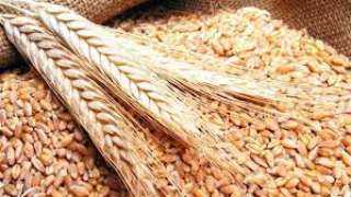 التموين: الاحتياطي من القمح يصل لـ 3.3 شهر