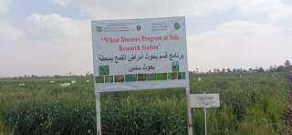 الوحدة المحلية لمركز ببا ومديرية الزراعة يتفقدان زراعات القمح ومحطة البحوث الزراعية بسدس