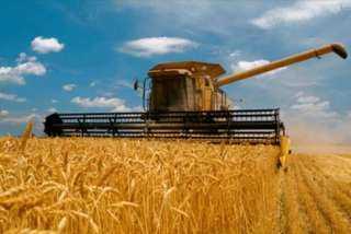 أسعار القمح تنهي تعاملات بورصة شيكاغو في المنطقة الخضراء