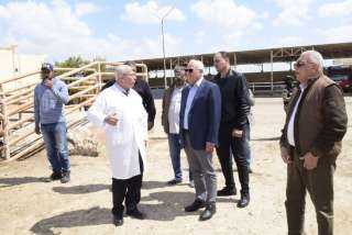 محافظ بورسعيد يتابع سير العمل داخل محطة تسمية الماشية و مجزر المحافظة
