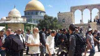 عشرات المستوطنين يقتحمون الأقصى بحراسة قوات الاحتلال